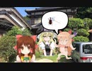 山へ虫取りに行く三人衆☆