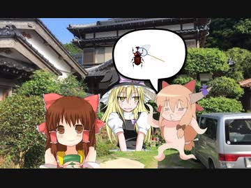 山へ虫取りに行く三人衆☆