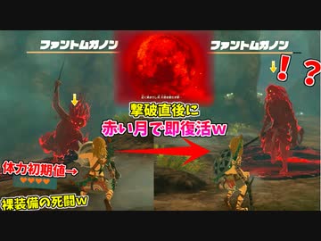 裸装備＆初期体力での死闘を制した直後、赤い月で無慈悲にも復活するファントムガノンｗ #4【ゼルダの伝説 ティアーズ オブ ザ キングダム】