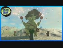 【ゼルダの伝説 ティアーズ オブ ザ キングダム】空と地底と大地と呪われし右腕。 #12【実況】