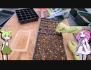 種からずんだ餅を作るもーーーん!1日目