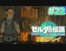 【実況】大空を翔る。ゼルダの伝説ティアーズオブザキングダム 実況プレイ！Part22【ゼルダの伝説TotK】