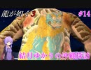 【龍が如く3】～実況～結月ゆかりの沖縄探訪　Part14