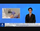FDAは緊急使用許可しか得ていない新型コロナワクチンを，今でも推進しているのは違法行為だ