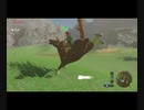 【ゼルダの伝説】マイペースに行くリンクと引きこもり#6後編【ブレスオブザワイルド】
