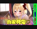 [2.5話：義理の姉の距離感がおかしい]義理の姉がいたらしょうがないよね[ゆっくり茶番劇]