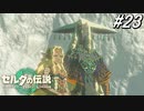 【ティアキン】いきなり無言の腹パンをするのはやめて…【ゼルダの伝説 ティアーズ オブ キングダム】実況プレイ part23