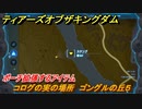 ゼルダの伝説ティアーズオブザキングダム　コログの実の場所　ゴングルの丘５　ポーチ拡張するアイテム　＃６０８　【ティアキン】