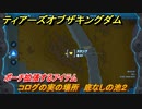 ゼルダの伝説ティアーズオブザキングダム　コログの実の場所　底なしの池２　ポーチ拡張するアイテム　＃６２３　【ティアキン】
