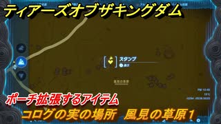 ゼルダの伝説ティアーズオブザキングダム　コログの実の場所　風見の草原１　ポーチ拡張するアイテム　＃６２９　【ティアキン】