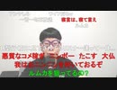 【コメント有】ニンポー 2023年06月07日06時11分 起きた【ニコ生録画】
