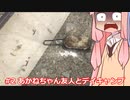 #2 あかねちゃん友人とデイキャンプ
