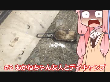 #2 あかねちゃん友人とデイキャンプ