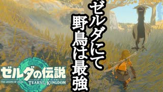 ゼルダの伝説 ティアーズオブザキングダム ボイロ実況プレイ Part2