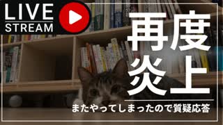 23時までには始めたかった生放送