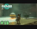 どうやって球を運ぶんだ…？　「ゼルダの伝説～ティアーズ・オブ・ザ・キングダム」　＃18