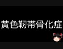 【ゆっくり朗読】ゆっくりさんと不思議な病気 その580