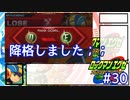 アドコレエグゼ6ランク#30