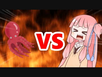 茜ちゃんVSたこ