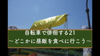 自転車で徘徊する 21 〜どこかに昼飯を食べに行こう〜