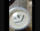 コーヒーゼリーにいそ松葉あうよご機嫌です一曲いこうかコーヒーゼリー食べる違った弾こうエリーゼのために