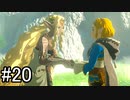 【実況】空の島から始まる新たな冒険【ゼルダの伝説 ティアーズ オブ ザ キングダム】part20