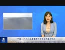 中国　パネル生産量過剰で価値下落が続く