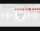 ニンポー（千代豊和） 原因究明