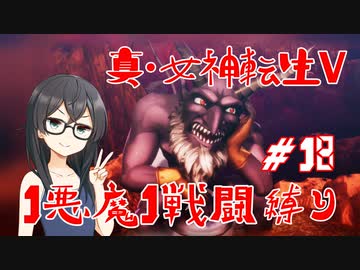 【真・女神転生V】1悪魔1戦闘縛り part18【花隈千冬実況】