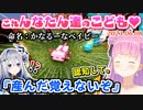 【マイクラ】かなたその知らぬ間に子供を作り認知させる事に成功したルーナ姫