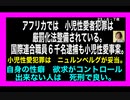 23・6・7夜　子供の人生を破壊する　小児性愛者を極刑に・・・。