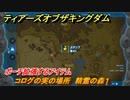 ゼルダの伝説ティアーズオブザキングダム　コログの実の場所　精霊の森１　ポーチ拡張するアイテム　＃６４７　【ティアキン】