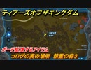 ゼルダの伝説ティアーズオブザキングダム　コログの実の場所　精霊の森３　ポーチ拡張するアイテム　＃６４９　【ティアキン】