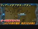 ゼルダの伝説ティアーズオブザキングダム　コログの実の場所　始まりの台地３　ポーチ拡張するアイテム　＃６５２　【ティアキン】