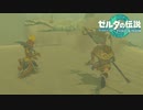 【ゼルダの伝説　ティアーズオブザキングダム】　冒険の記録　♯041　リンクとルージュの冒険・Part1
