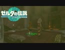 【ゼルダの伝説　ティアーズオブザキングダム】　冒険の記録　♯042　リンクとルージュの冒険・Part2