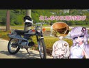 【VOICEROID車載】原付でハンバーガー食いに行くよ！【ベンリィCL50】