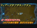 ゼルダの伝説ティアーズオブザキングダム　コログの実の場所　始まりの台地４　ポーチ拡張するアイテム　＃６５５　【ティアキン】
