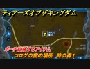 ゼルダの伝説ティアーズオブザキングダム　コログの実の場所　時の森１　ポーチ拡張するアイテム　＃６５８　【ティアキン】