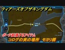 ゼルダの伝説ティアーズオブザキングダム　コログの実の場所　モヨリ橋　ポーチ拡張するアイテム　＃６６０　【ティアキン】