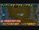 ゼルダの伝説ティアーズオブザキングダム　コログの実の場所　ハイリア湖周辺７　ポーチ拡張するアイテム　＃６７１　【ティアキン】