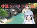 【セロー】林道に行こう（仮）転倒編【COEIROINK車載】