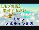 【凡プ実況】ゼルダの伝説TotK 散歩するだけ その５