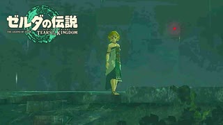 ゼルダ姫……！？【ゼルダの伝説 ティアーズ オブ ザ キングダム / ゲーム実況】part6の中編