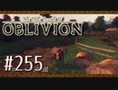 実況 ◇ The Elder Scrolls IV: オブリビオン ◇ 第255幕