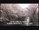 【音楽と景観】東京緑地#26｢桜満開の練馬高野台、石神井公園｣