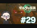 【実況プレイ】 ゼルダの伝説 ティアーズオブザキングダム part29 【いちご大福】