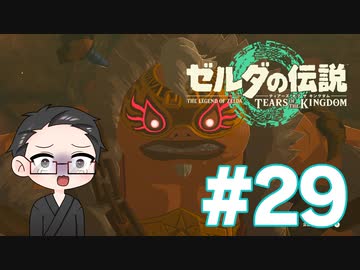 【実況プレイ】 ゼルダの伝説 ティアーズオブザキングダム part29 【いちご大福】