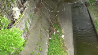 落石注意