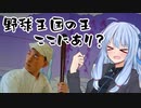 葵ちゃんと野球場へ行こう！　～野球王国の首都（？）松山坊っちゃんスタジアム～